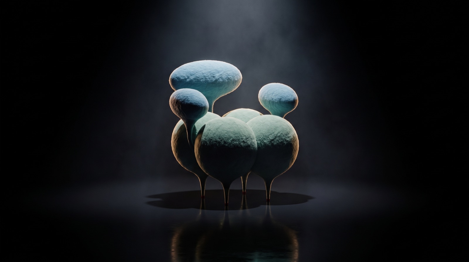 Inflated Ass — collectible design film still